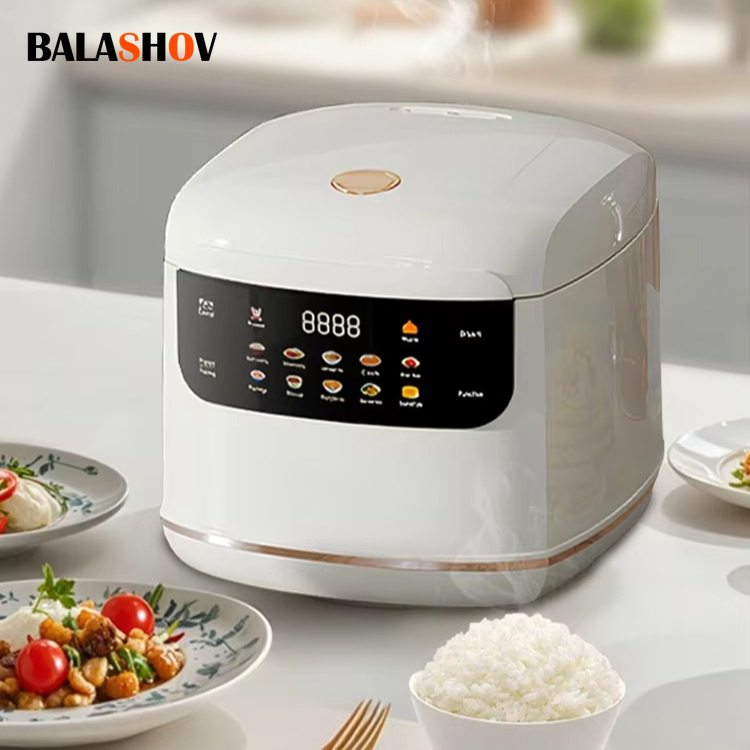 MultiCooker Electric Rice Cook - Rice Cooker 10 Cup recensie en prijs