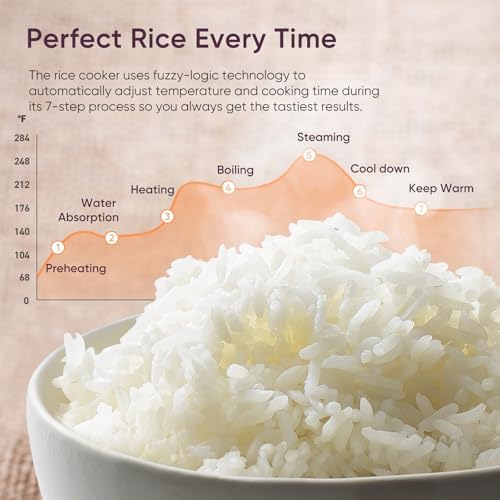 10-Cup Rice Cooker with 24H Ke - Rice Cooker 10 Cup recensie en prijs
